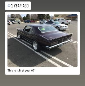 Meet your Posher, Benny